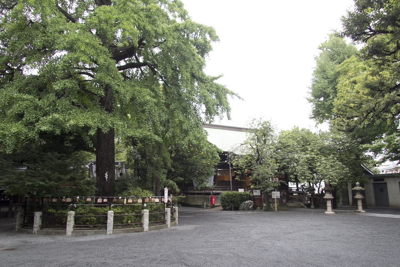 七社神社での挙式案内 | 神社結婚式プロデュース 京鐘