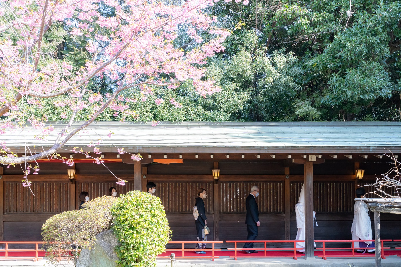 代々木八幡宮での挙式案内