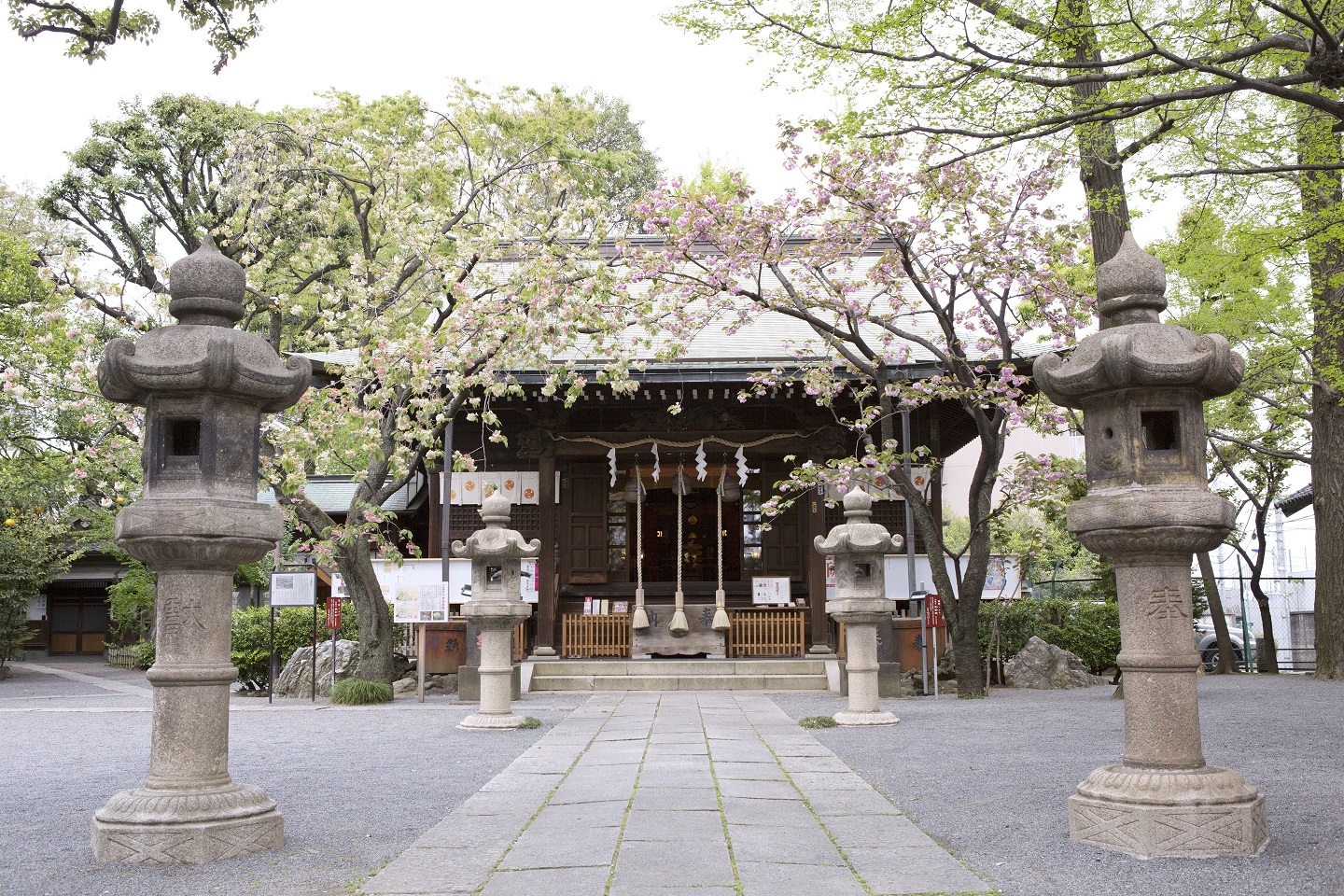 七社神社での挙式案内 | 神社結婚式プロデュース 京鐘