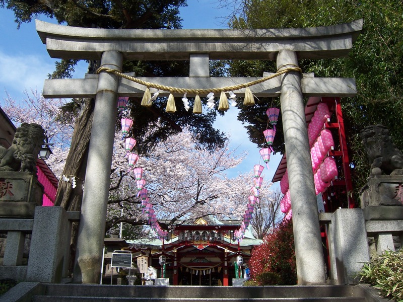 居木神社での挙式案内 | 神社結婚式プロデュース 京鐘