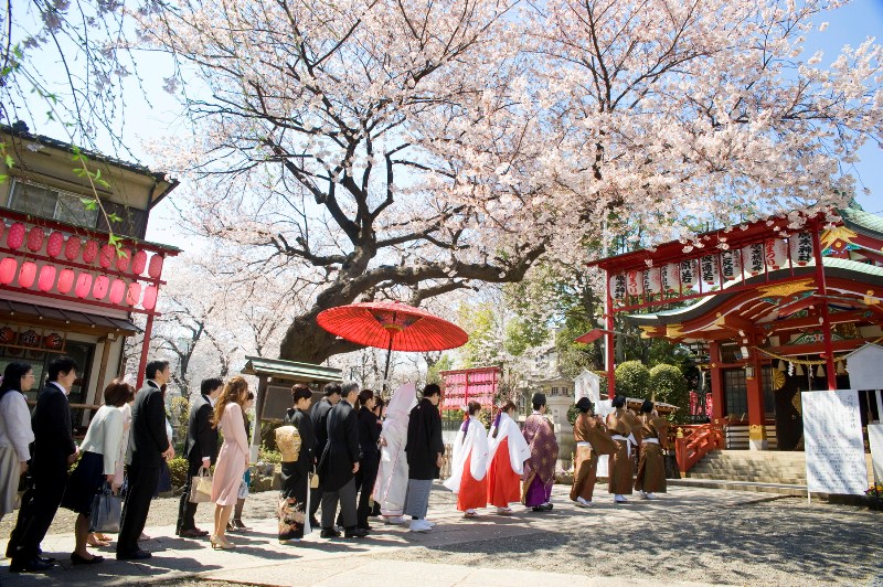 居木神社での挙式案内 | 神社結婚式プロデュース 京鐘