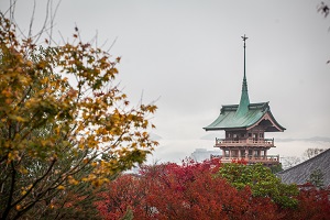 高台寺結婚式01