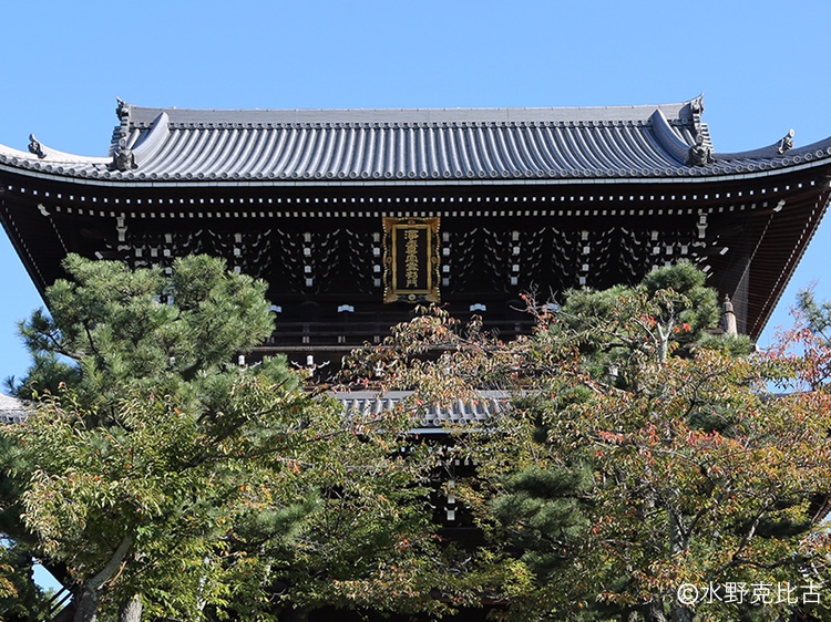 浄土宗大本山 金戒光明寺での挙式案内 | 寺院指定プロデュース 京鐘