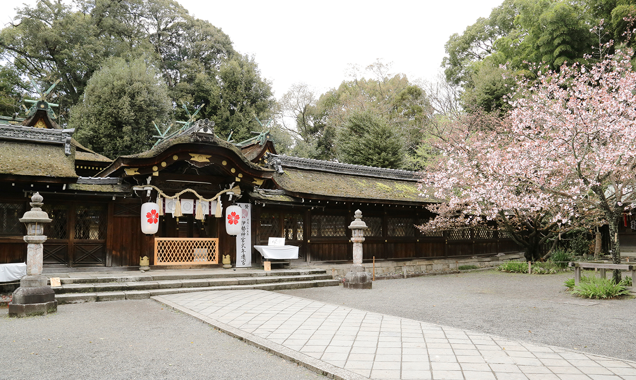 平野神社での挙式案内 | 神社結婚式プロデュース 京鐘