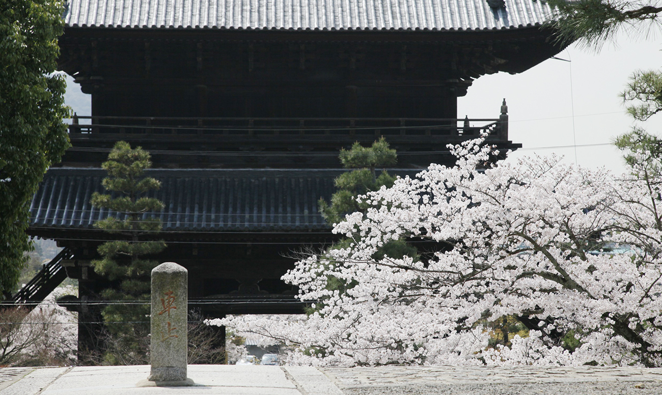 浄土宗大本山 金戒光明寺での挙式案内 | 寺院指定プロデュース 京鐘