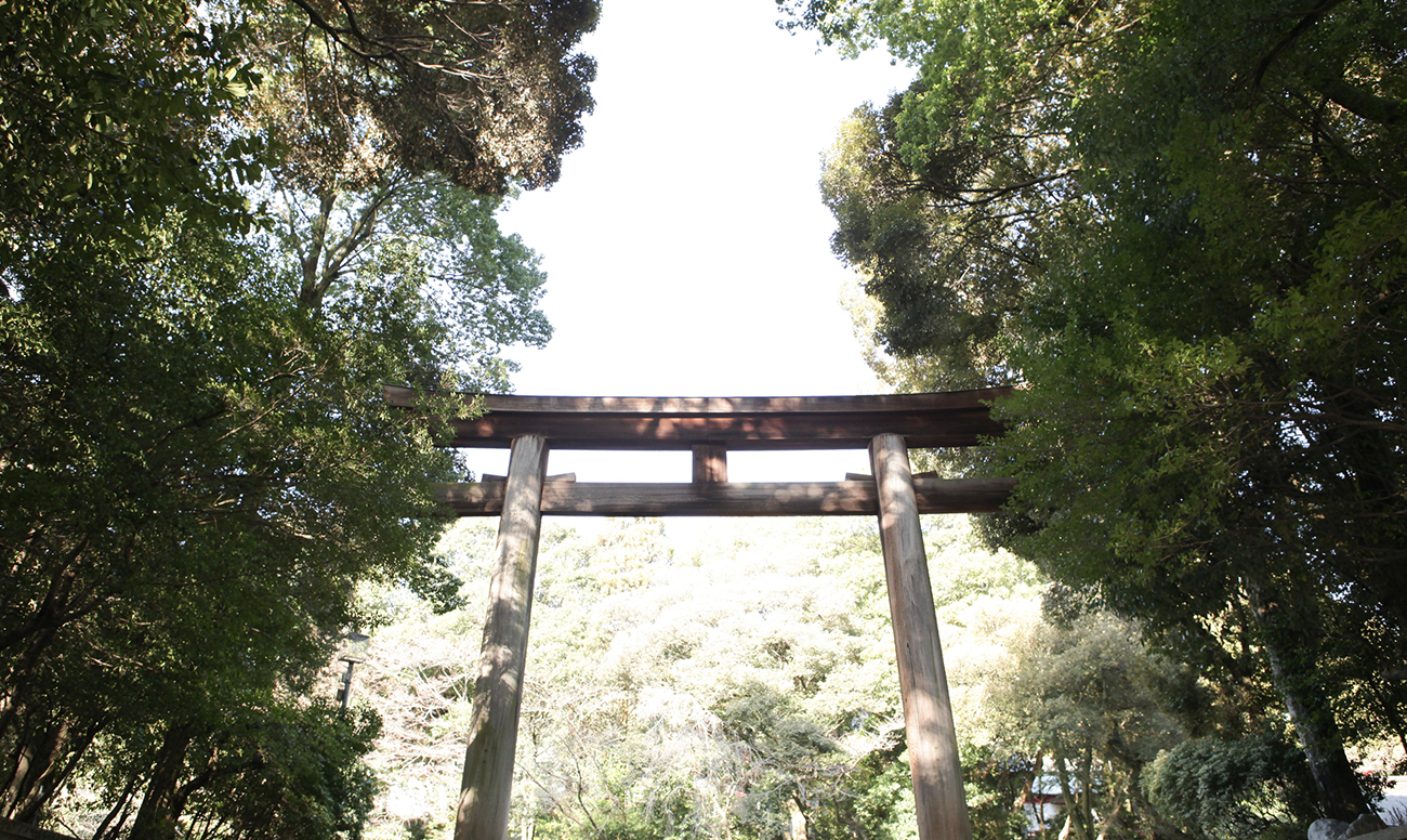 近江神宮での挙式案内 | 神社結婚式プロデュース 京鐘