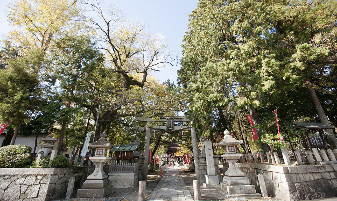 立木神社での挙式案内 | 神社結婚式プロデュース 京鐘