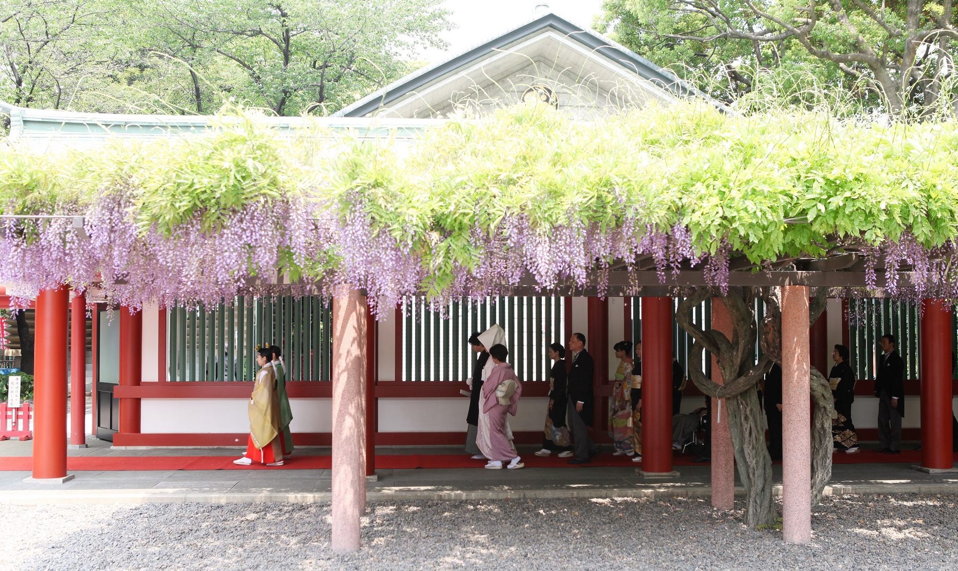 日枝神社での挙式案内