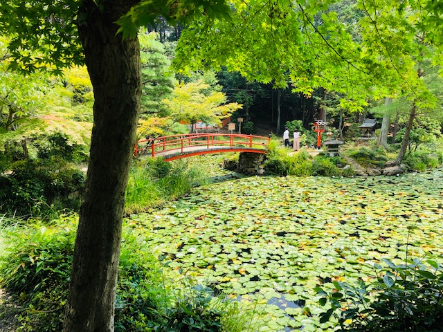 大原野神社での挙式案内 | 結婚式プロデュース 京鐘