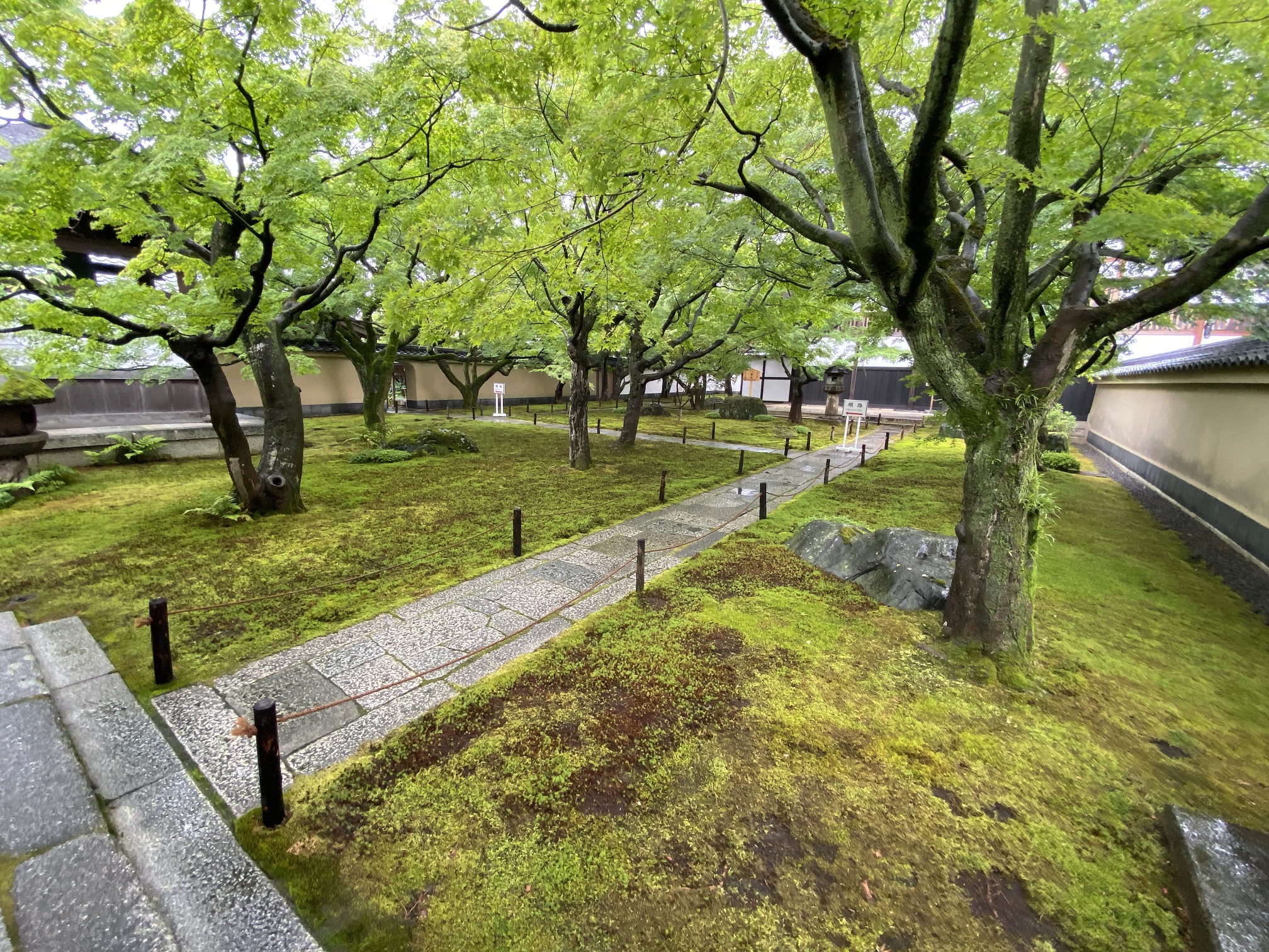 大徳寺　黄梅院での挙式案内 | 結婚式プロデュース 京鐘