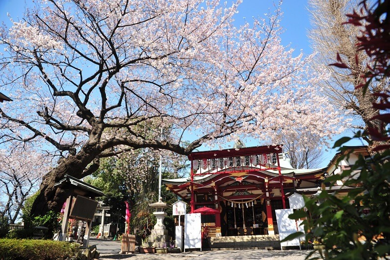 居木神社＊御祈願付【東京】