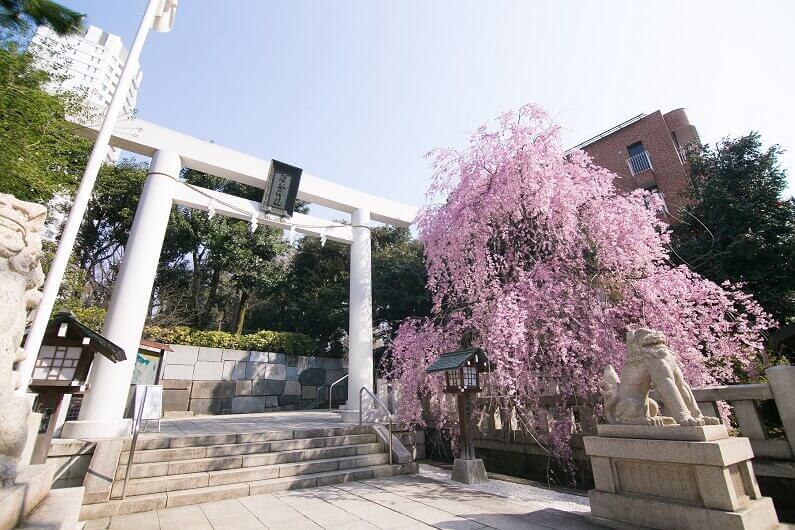 乃木神社＊御祈願付【東京】