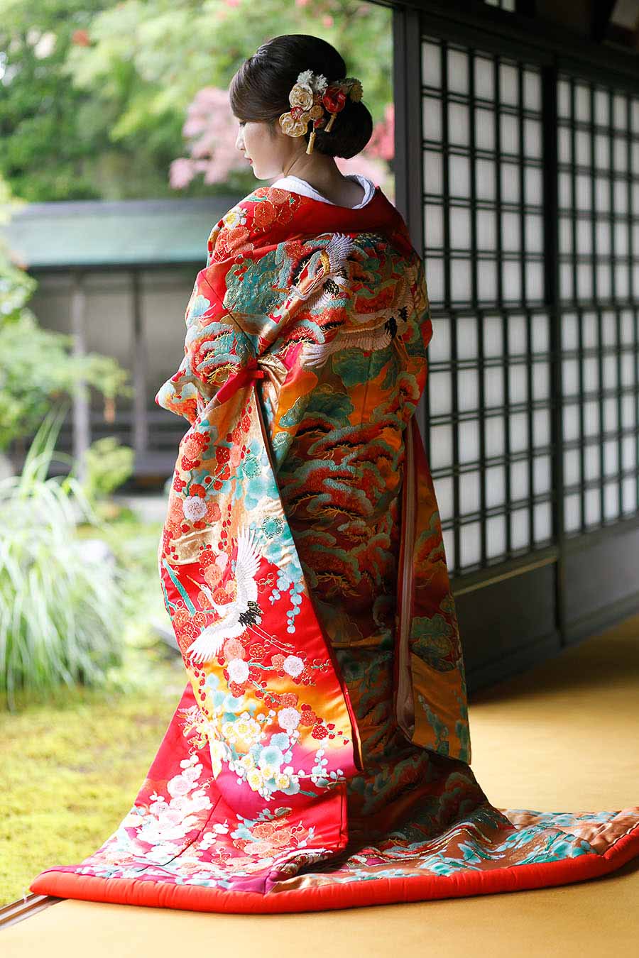 蘇芳地老松図