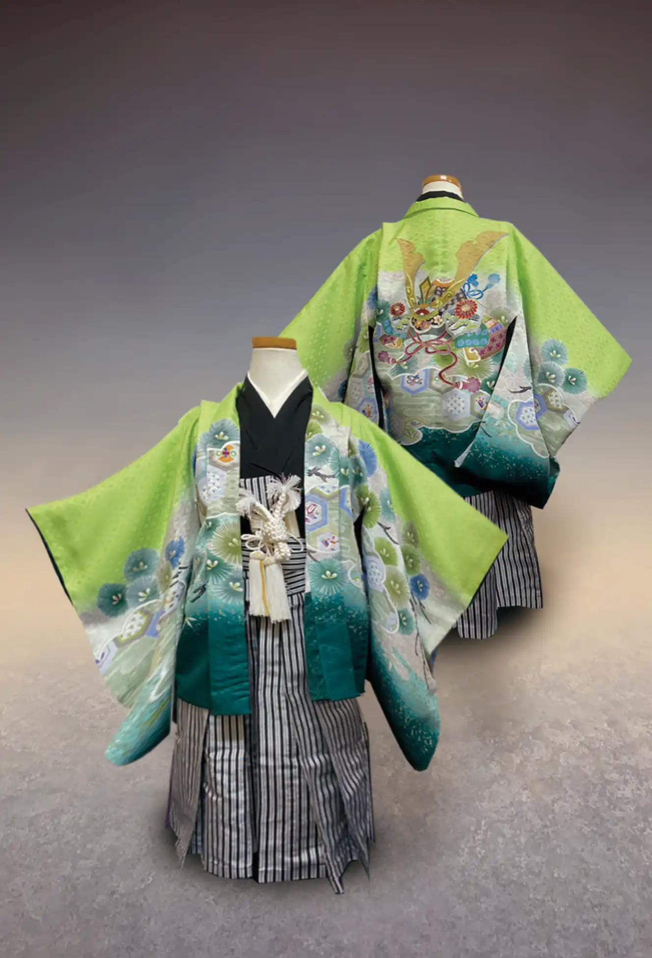 黄色地 かぶと（三歳）